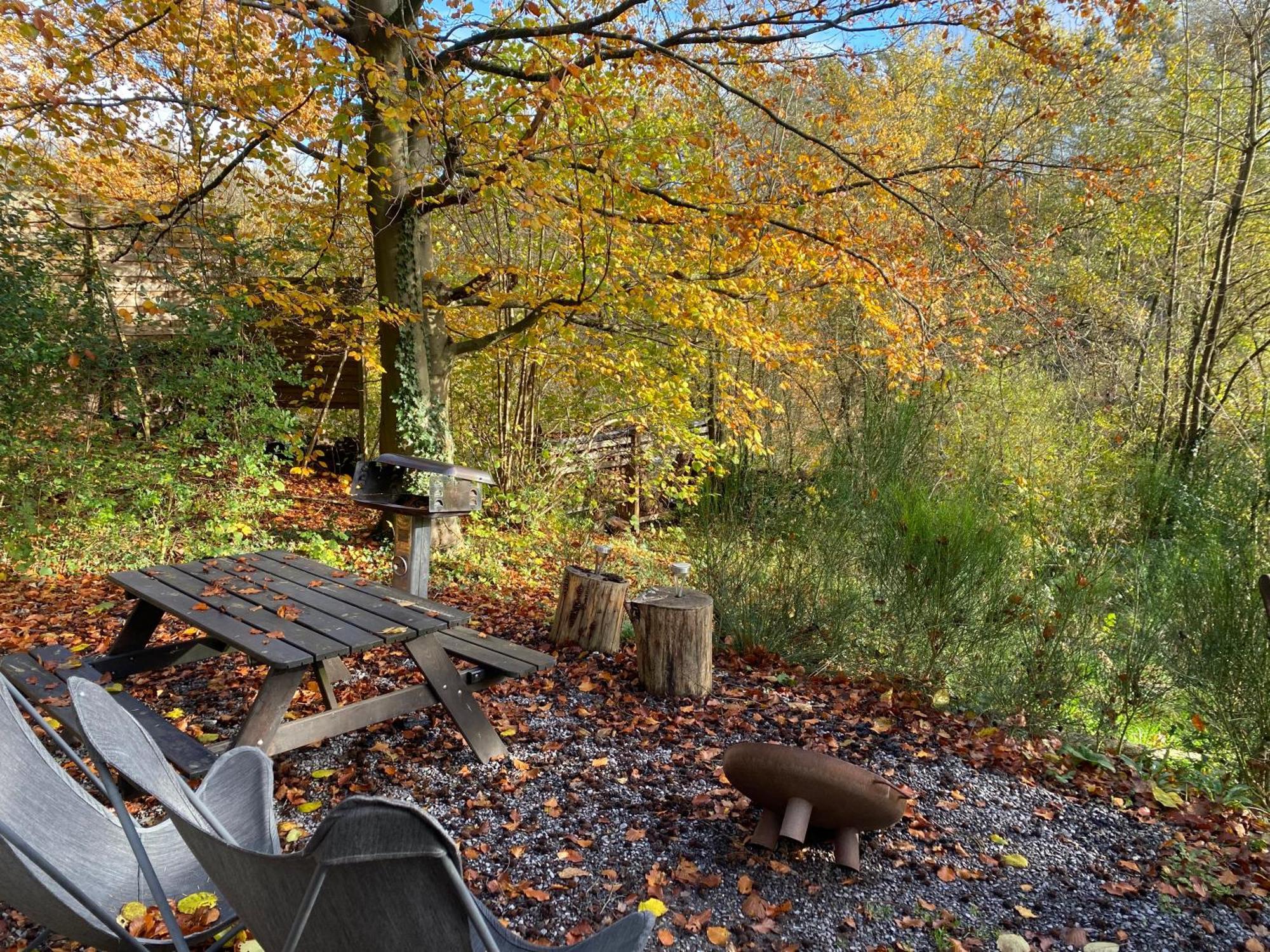 Chalet Tropical Avec Bain A Bulles - In The Woods Gesves Eksteriør bilde